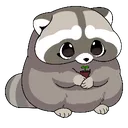 Raccoon