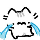 sadcatcry