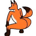 FB_Fox_Twerk