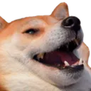 KEKDog_ToFSEA KEKDog_ToFSEA