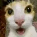 gasp