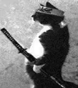 samuraicat