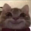 CatSmirk