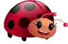 ladybug1