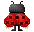 ladybug