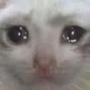 gwavvy