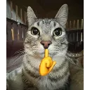Shhh