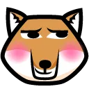 foxBlush