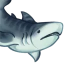VV_TigerShark