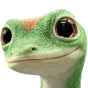 smilinggeicogecko