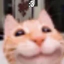 ColonThree