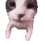 Cat_Kiss