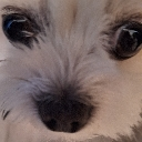 f_nowayy Discord Emoji | ☽・𝙇𝙪𝙣𝙖𝙧 𝙇𝙤𝙪𝙣𝙜𝙚・☽ 𝘈𝘯𝘪𝘮𝘦 ✦ 𝘔𝘶𝘴𝘪𝘤 ✦ 𝘊𝘩𝘢𝘵