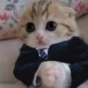 E_cat_business Discord emoji
