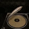 Spin