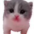 hashta109Scared