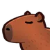 Capybara