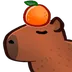 CapybaraOrange CapybaraOrange