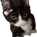 parasmoji