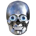 skull