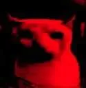 deathcat