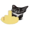 veryRUDEcat