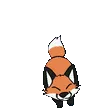 Foxy