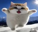 yippie yippie