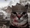 warcat