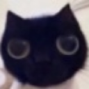 catstare Discord emoji