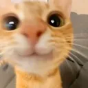 3_