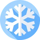 winter_token_2024