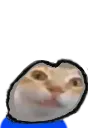 ermgi