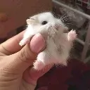 weeeee