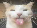 ze Discord emoji