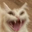 muhahahahaahahahaahah