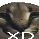 ecksdee