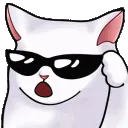 coolcatsunglasses