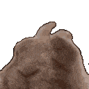 vibeezgif