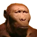 moyai
