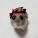 mktristo mktristo
