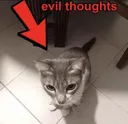 evilthoughts