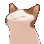 CatBop