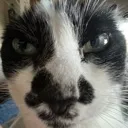 Grrrugh