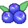 pixel_blueberries Discord emoji