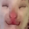 mmm mmm