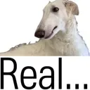 realzoi
