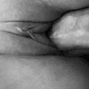 argentocreampie