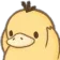 wldPsyduck