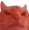 Cat_Angry